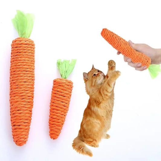 Carrot Teething and Teasing Stick