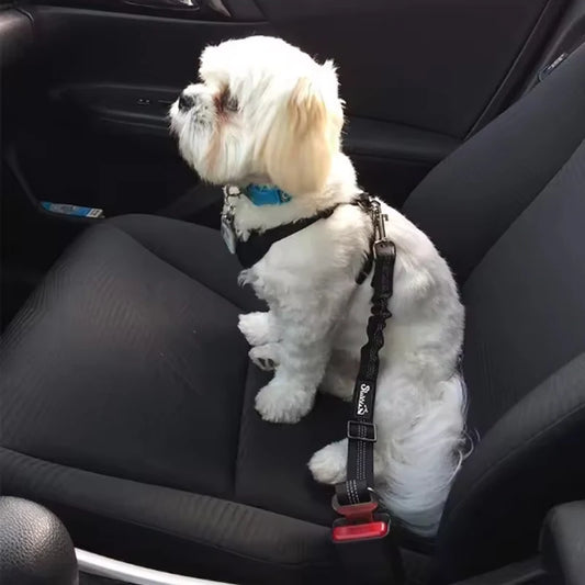 Car Safety Seat Belt Leash