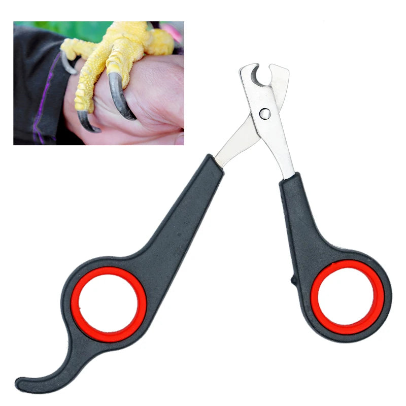 Parrot Nail Clipper