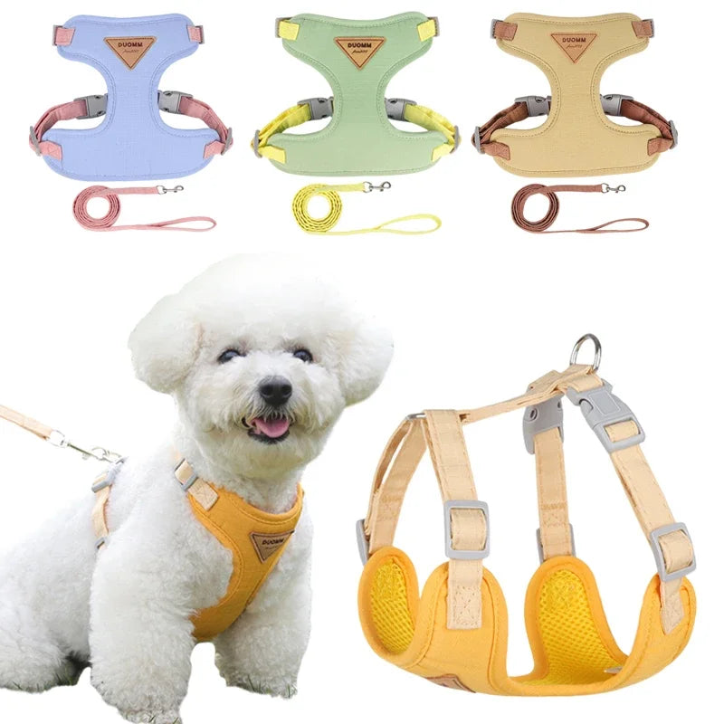 Adjustable Puppy & Small Dog Harness Set