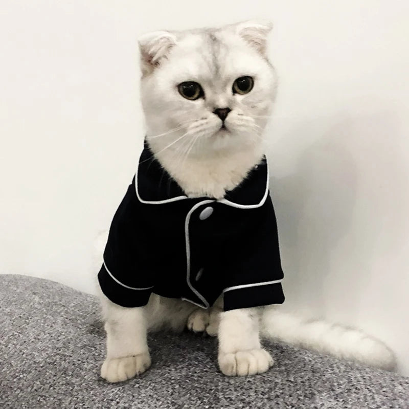 Cat Holiday Outfit