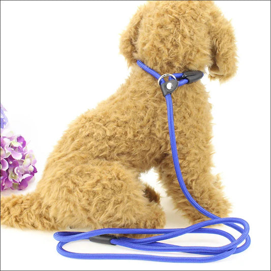 Nylon Rope Leash