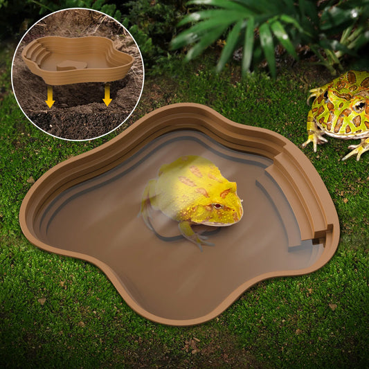 Reptile Feeding Bowl