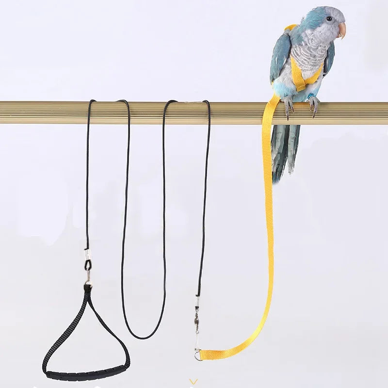 Bird Flying Harness