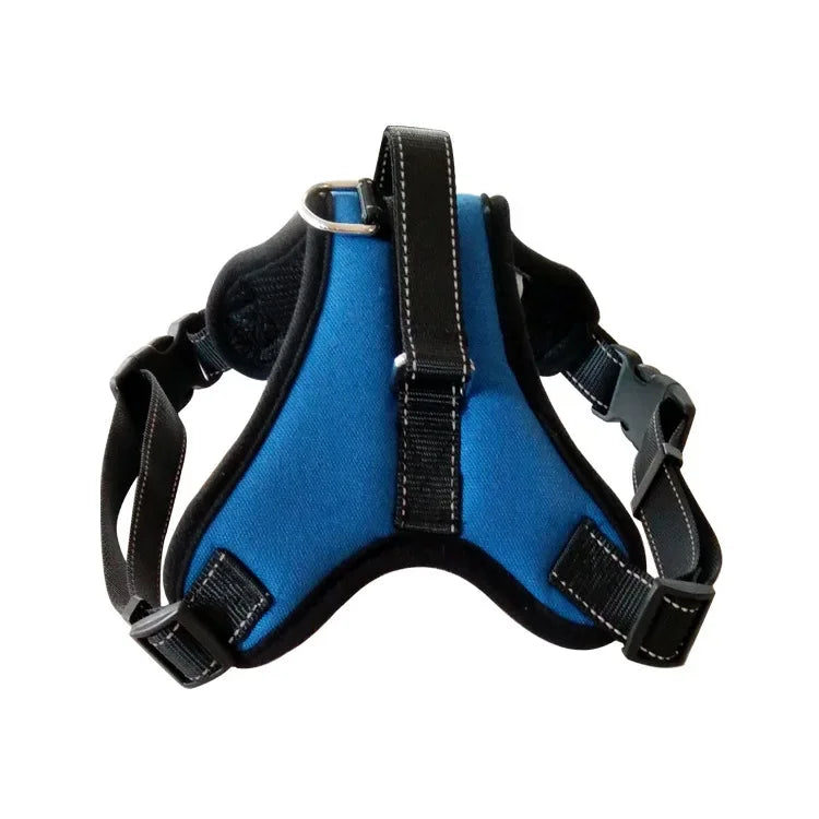 Quick-Release Nylon Harness