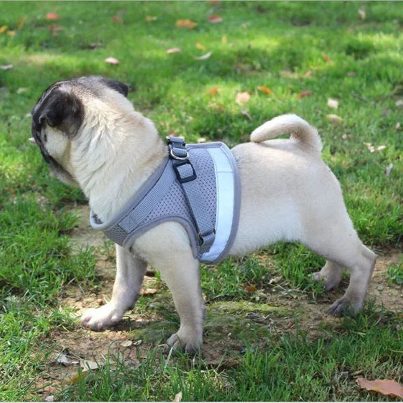 Adjustable Mesh Vest Harness & Leash Set