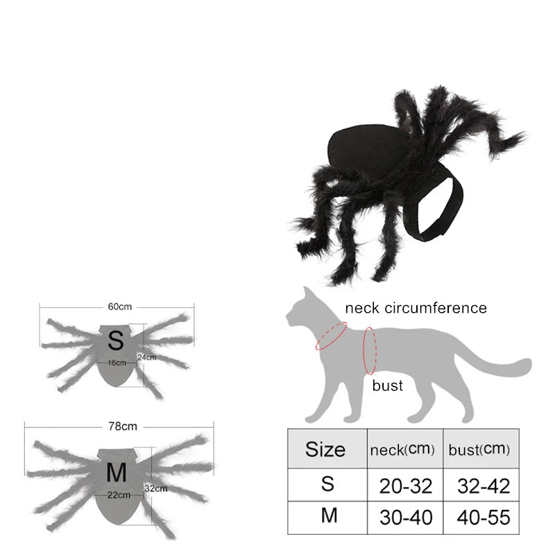 Spider Costume