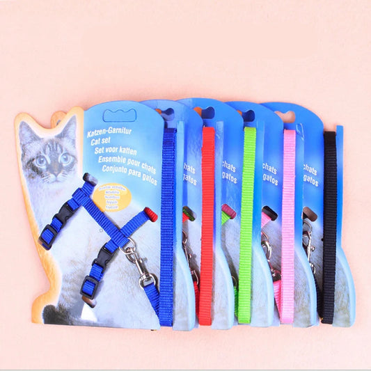 Cat Harness and Leash 1