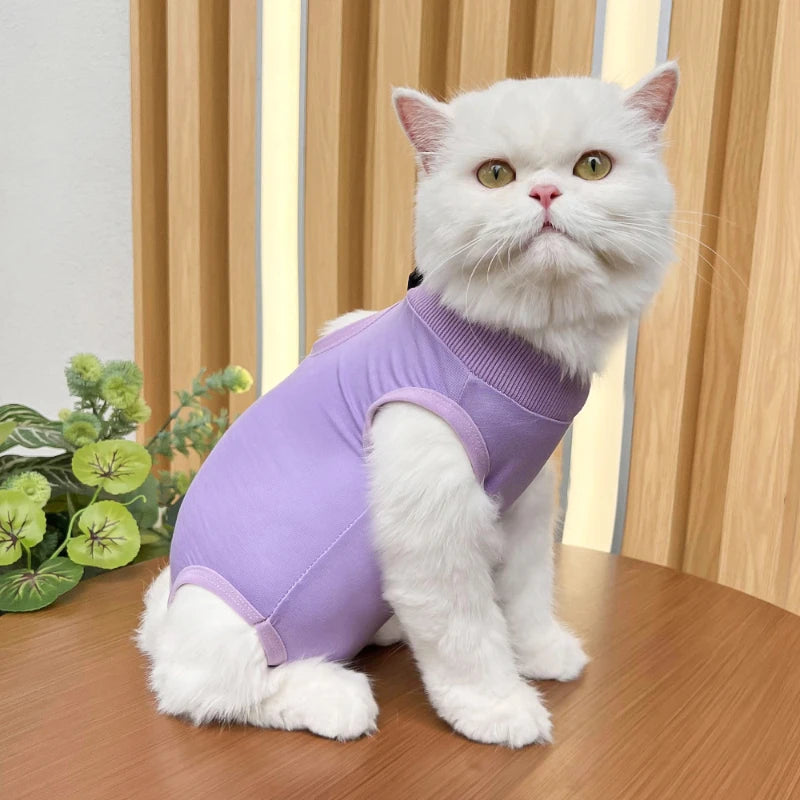 Cat Care Recovery Suit 2