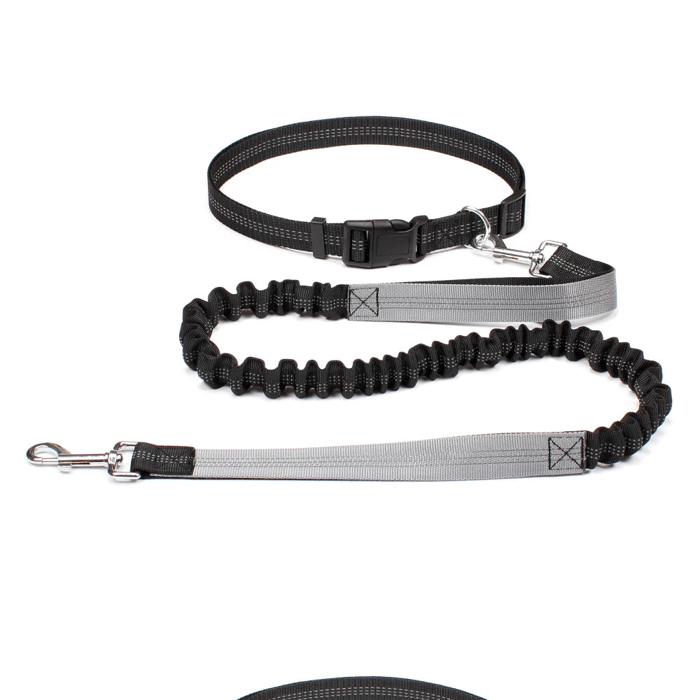 Hand Free Leash for Jogging