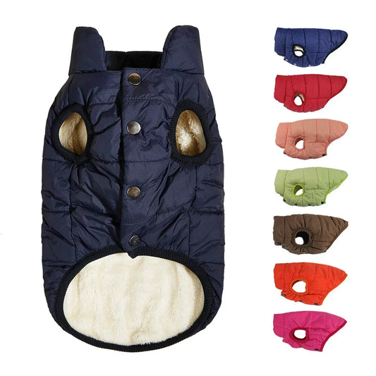 Small Dog Winter Jacket