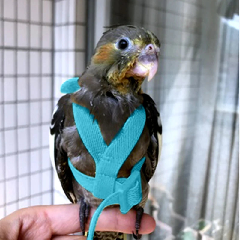 Parrot Flying Harness 1