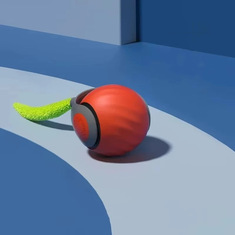 Interactive Ball Toy 1