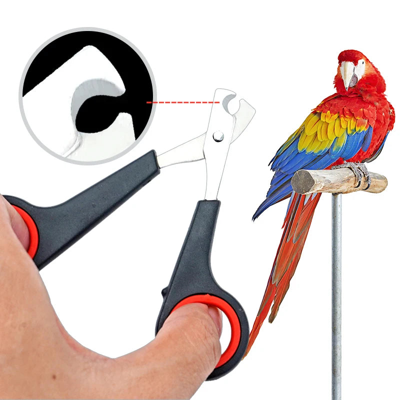 Parrot Nail Clipper