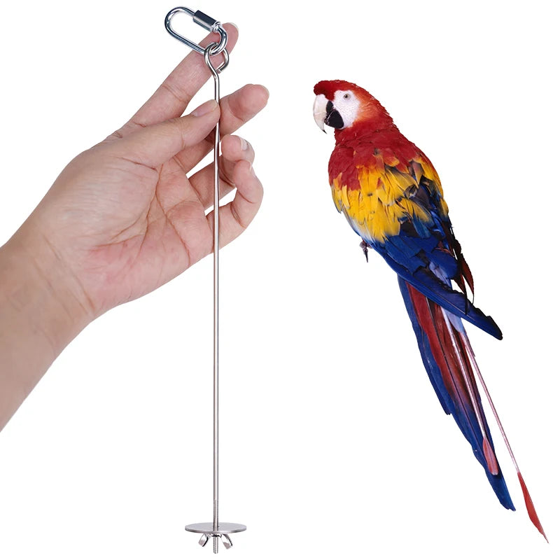 Bird Stainless Steel Fruit Fork 1