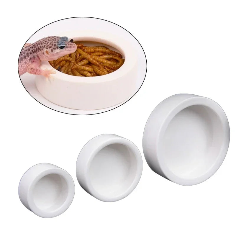Reptile Ceramic Feeding Bowl 3