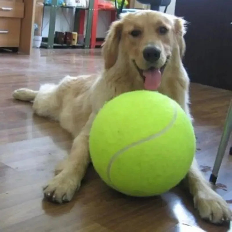 Giant Inflatable Tennis Ball for Dogs