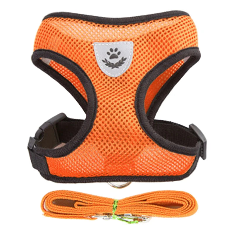 Adjustable Harness Set – Breathable Vest with Leash