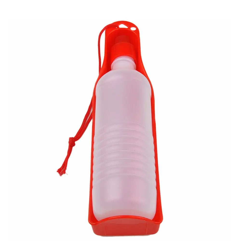 Portable Water Bottle with Bowl 2
