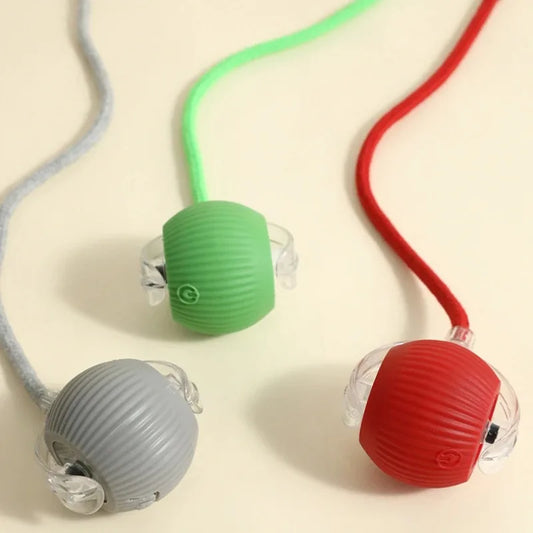 Automatic Rolling Rechargeable Dog Toy