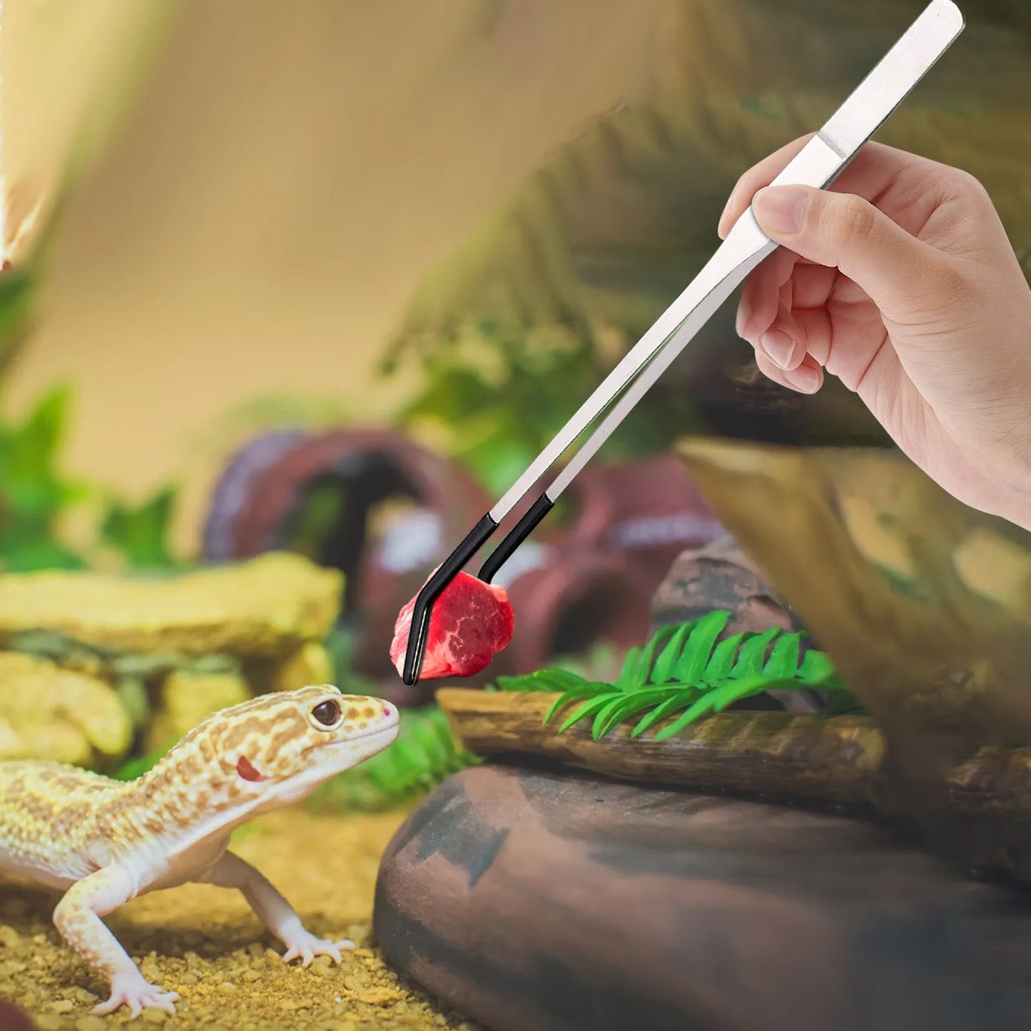 Reptile Feeding Tweezers (2pcs)