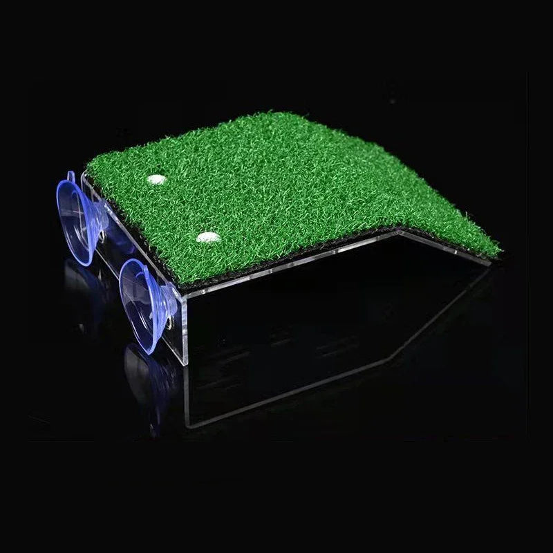 Turtle Moss Platform