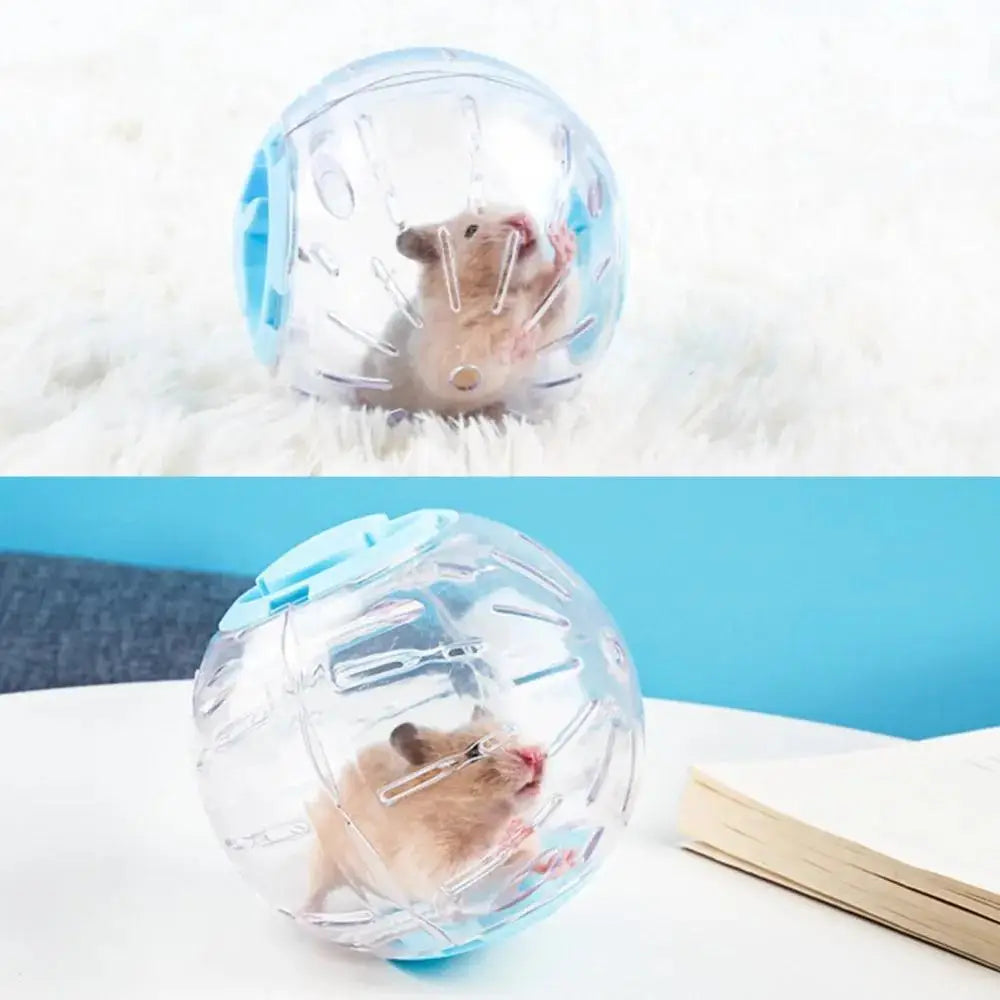 Transparent Hamster Ball