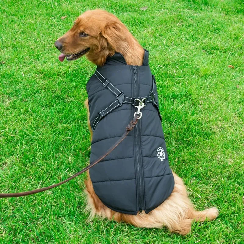 Large Dog Winter Jacket