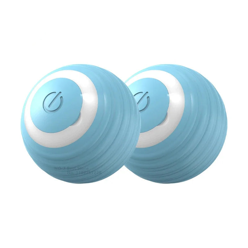 Interactive Ball Toy