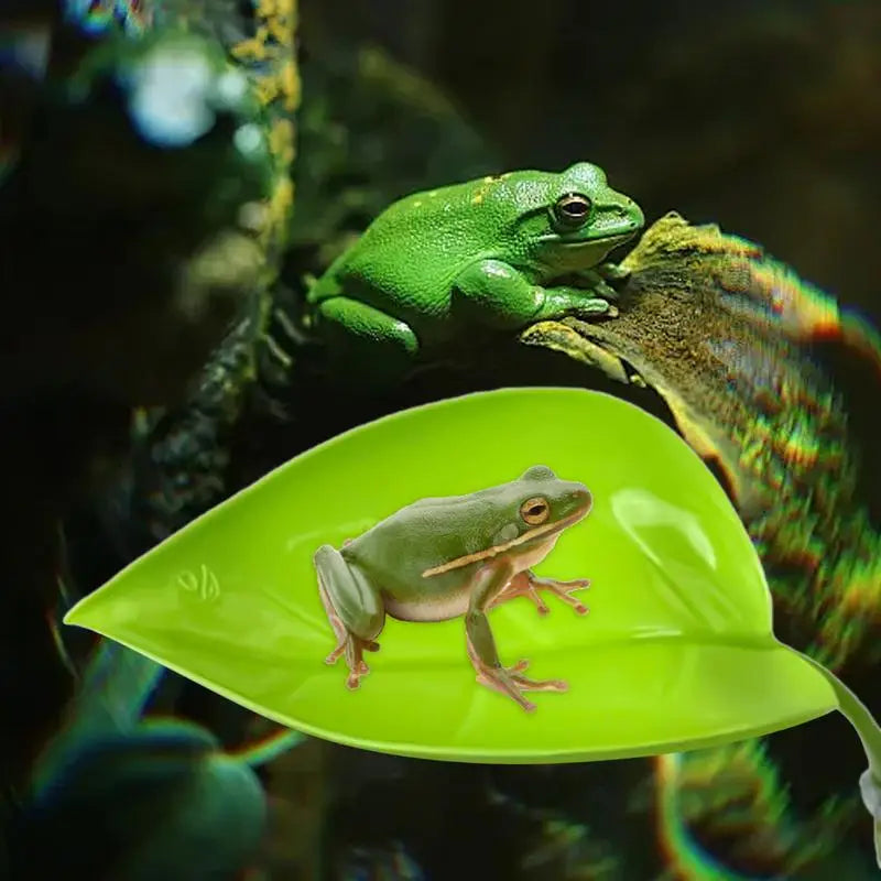 Frog Leaf Basking Platform