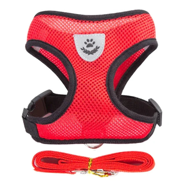 Cat Harness and Leash 2