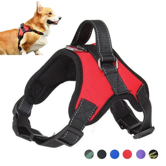 No-Pull Chest Strap Harness