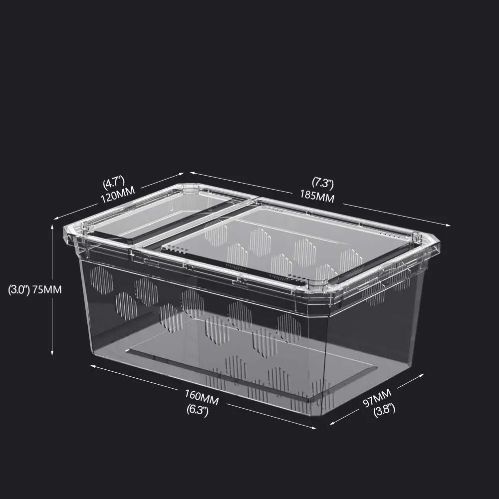Reptile Breeding Box