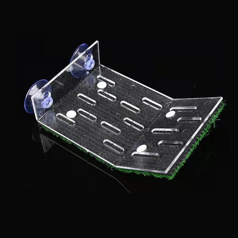 Turtle Moss Platform