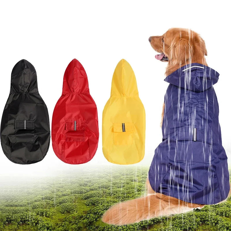 Raincoat