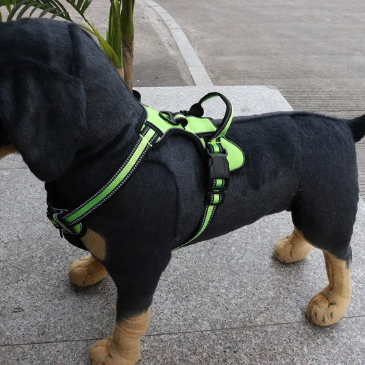 Adjustable Nylon Harness