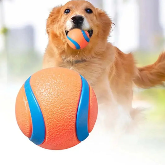 Squeaky Rubber Dog Ball