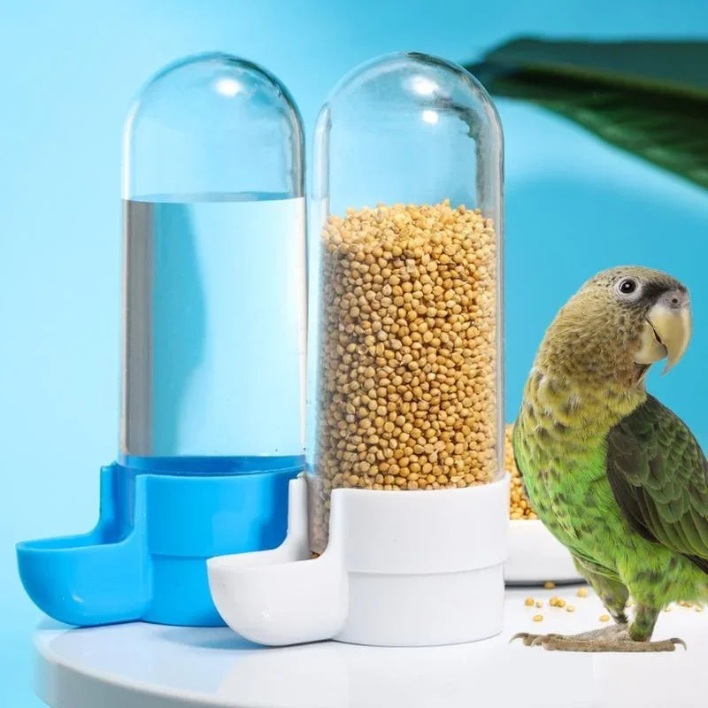 Birds Feeder & Water Dispenser 3