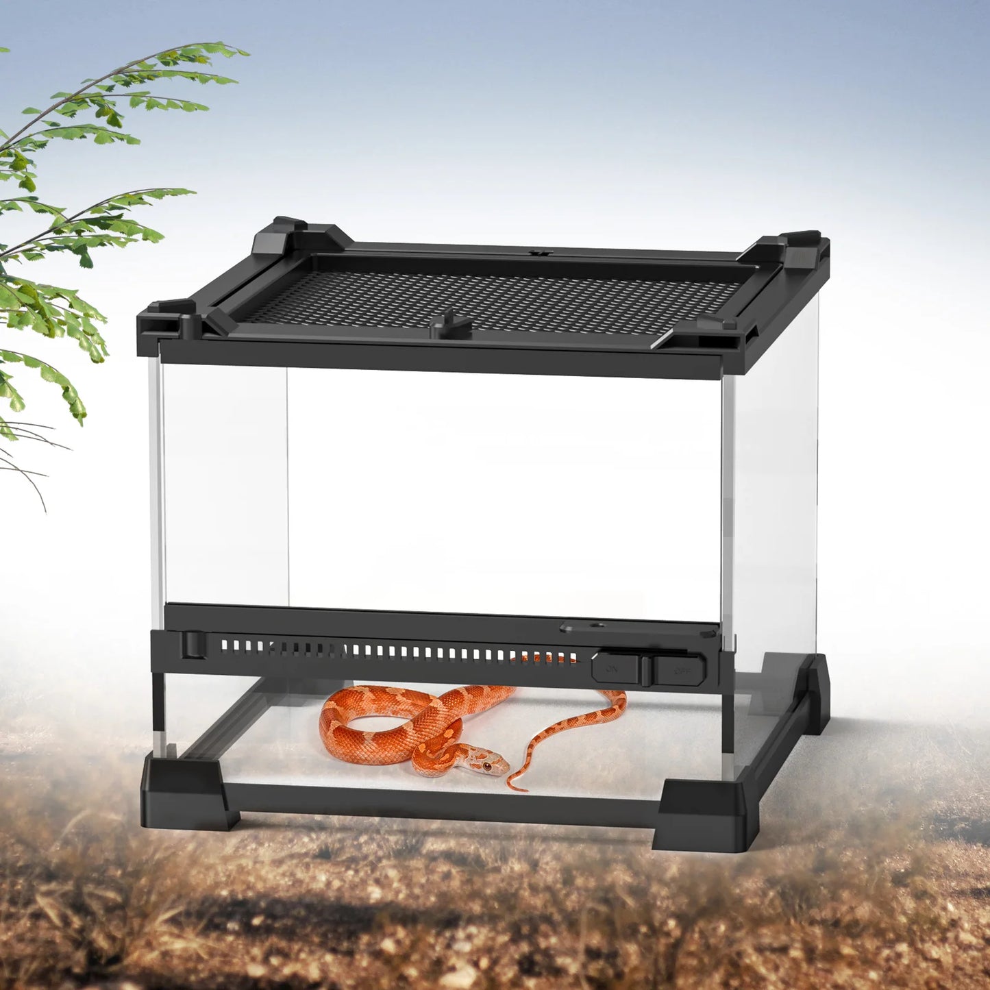 Tempered Glass Terrarium