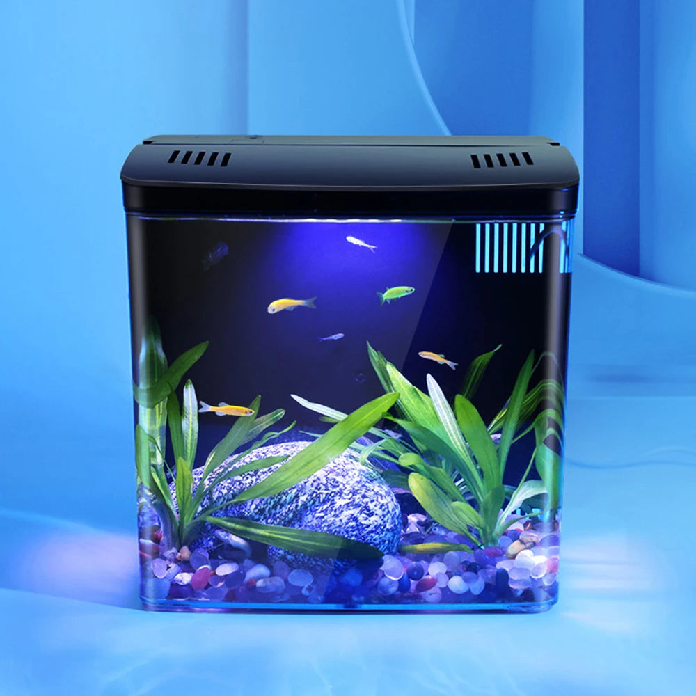 Desktop Fish Tank 1