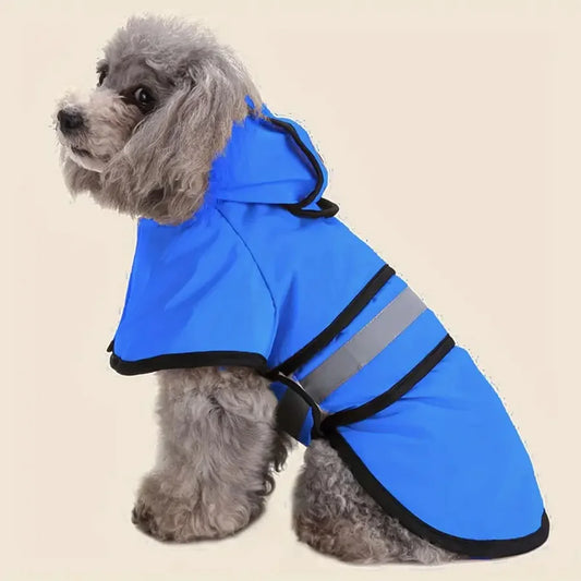 Raincoat 5