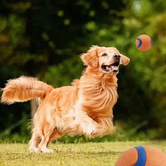 Squeaky Rubber Dog Ball