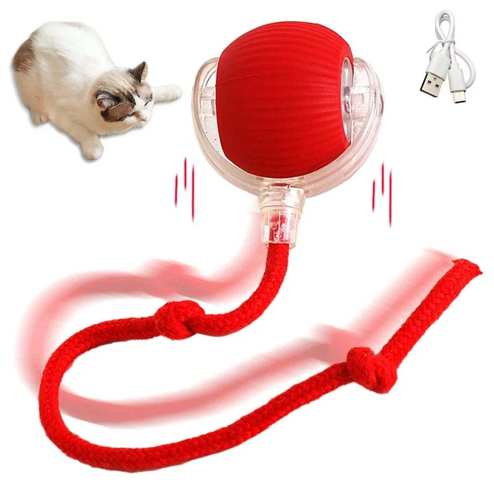 Interactive Ball Toy 1