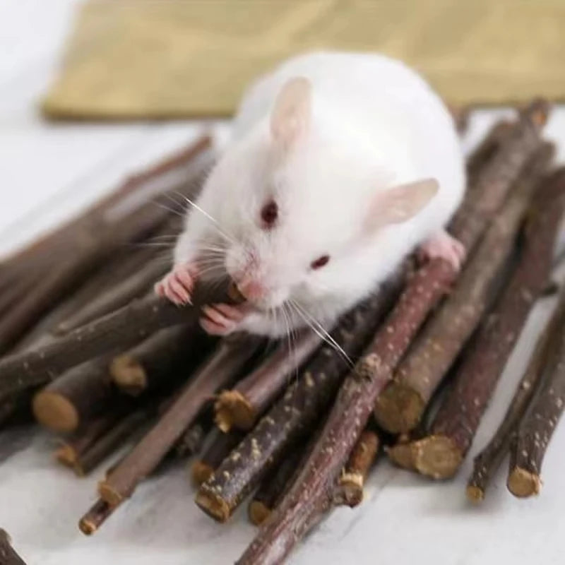 Wooden Roller Chew Toy