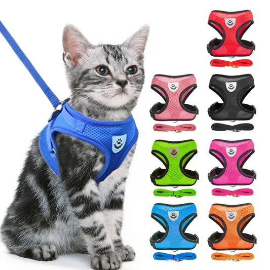 Cat Harness and Leash 2