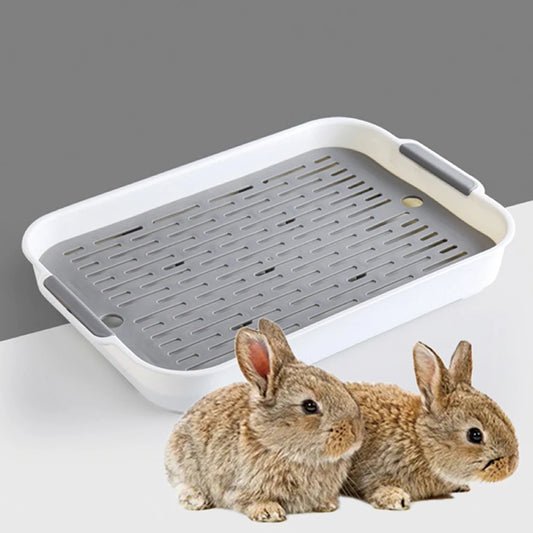 Litter Box