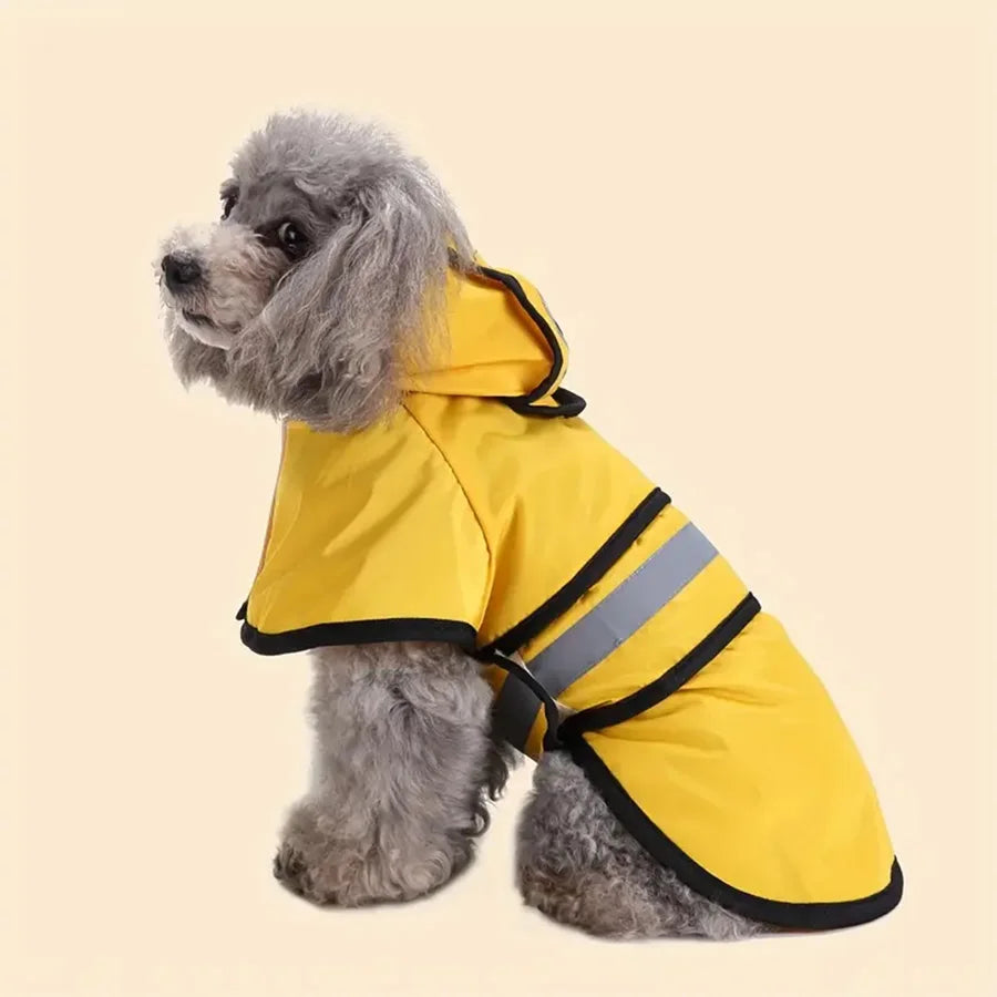 Raincoat 5