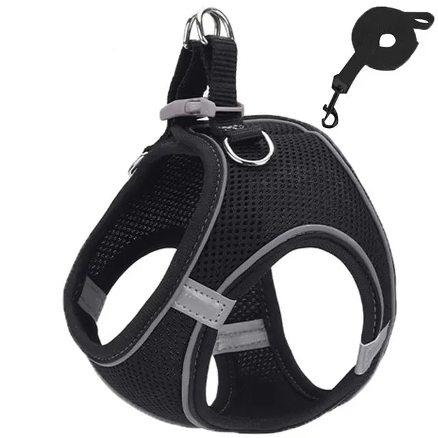 Reflective Dog Harness & Leash Set