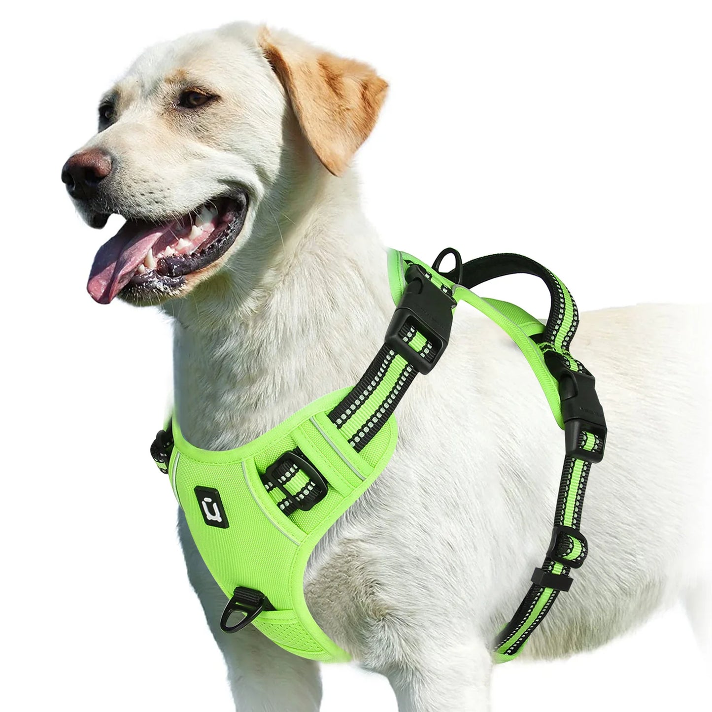 No-Pull Padded Harness