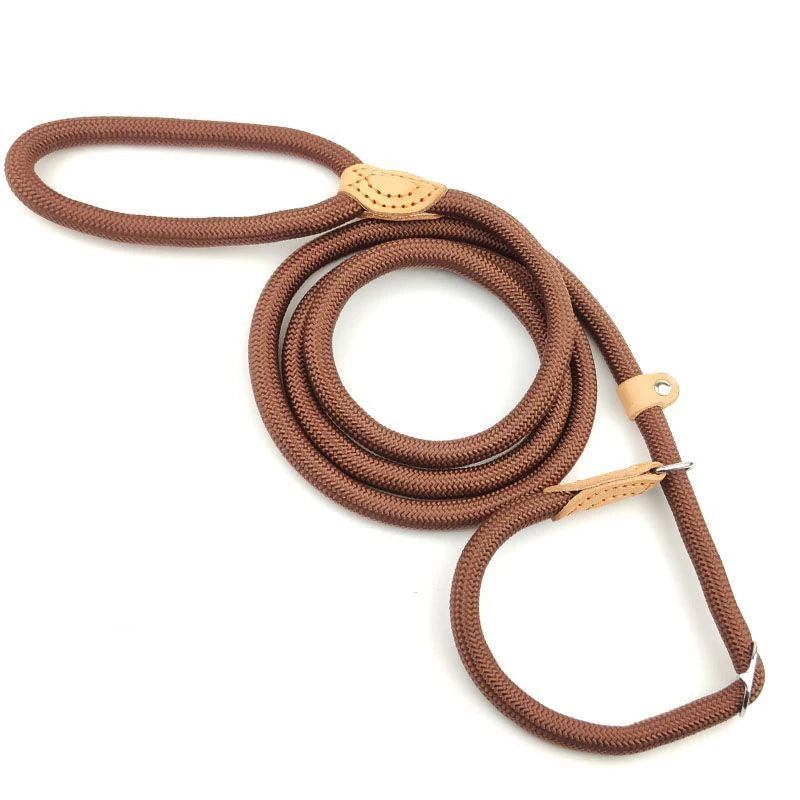 Nylon Leash